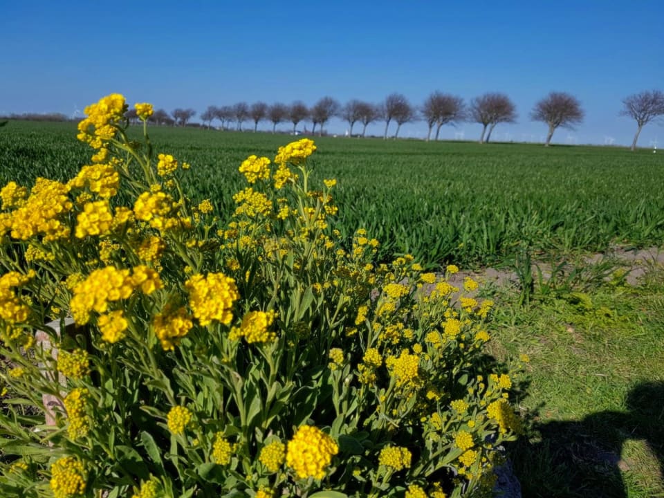 Ausblick Gästehaus Sulsdorf