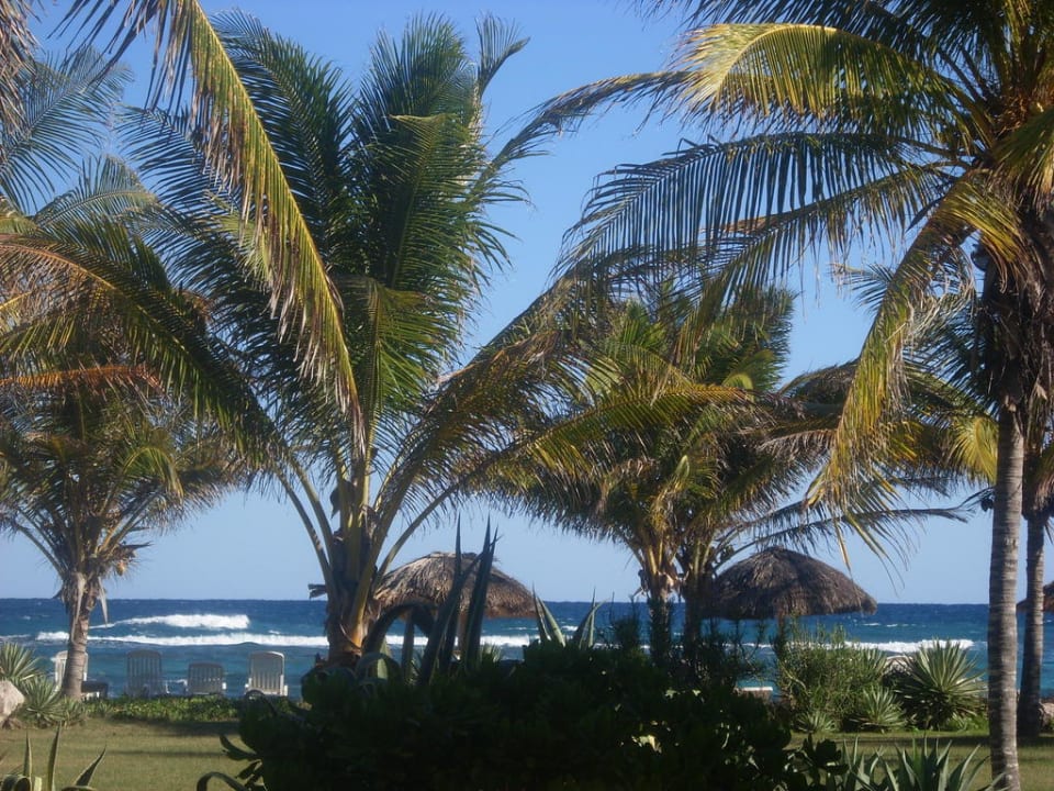 Blick von Meerblickzimmern Memories Jibacoa