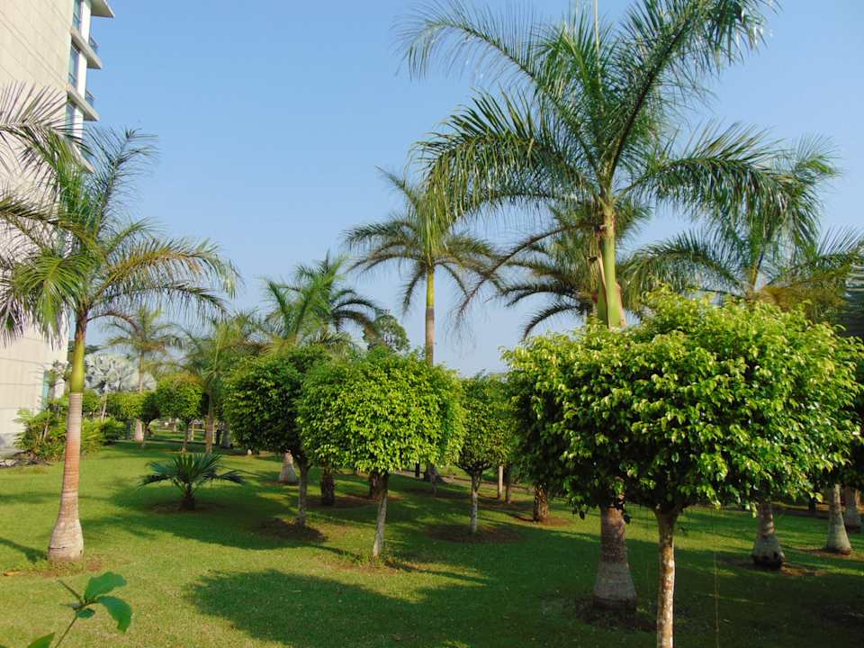 Gartenanlage Sofitel Malabo Sipopo Le Golf