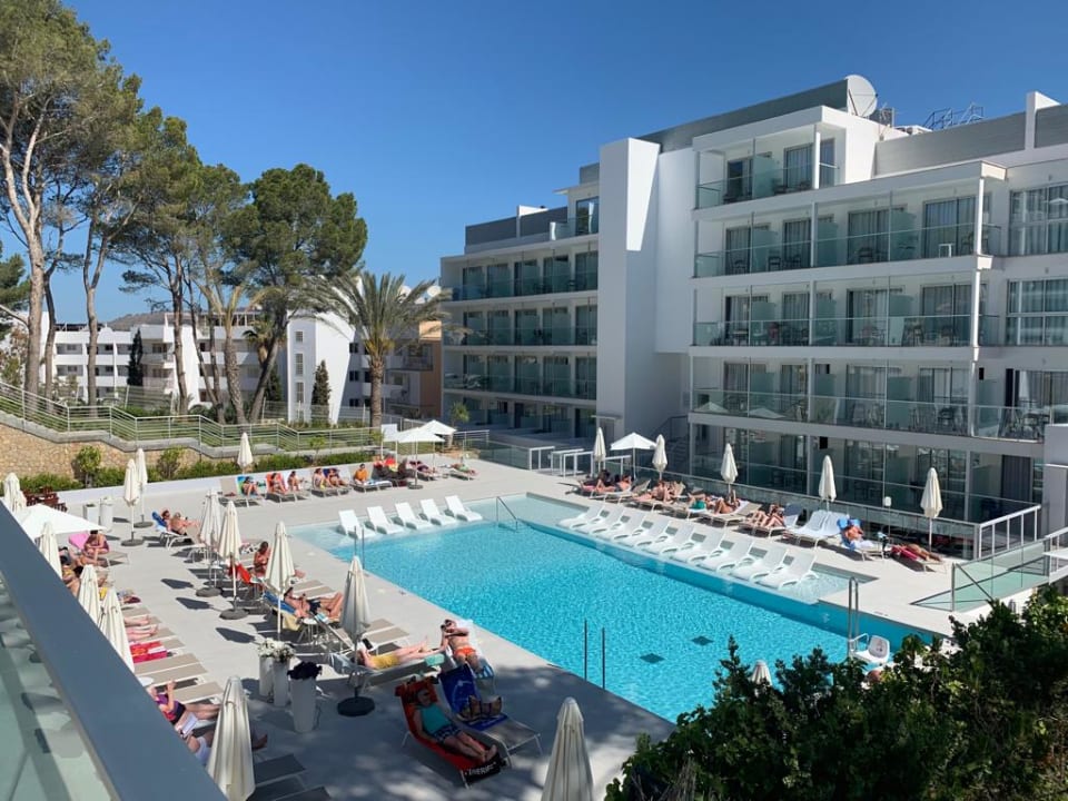 Pool Reverence Life  - Adults only