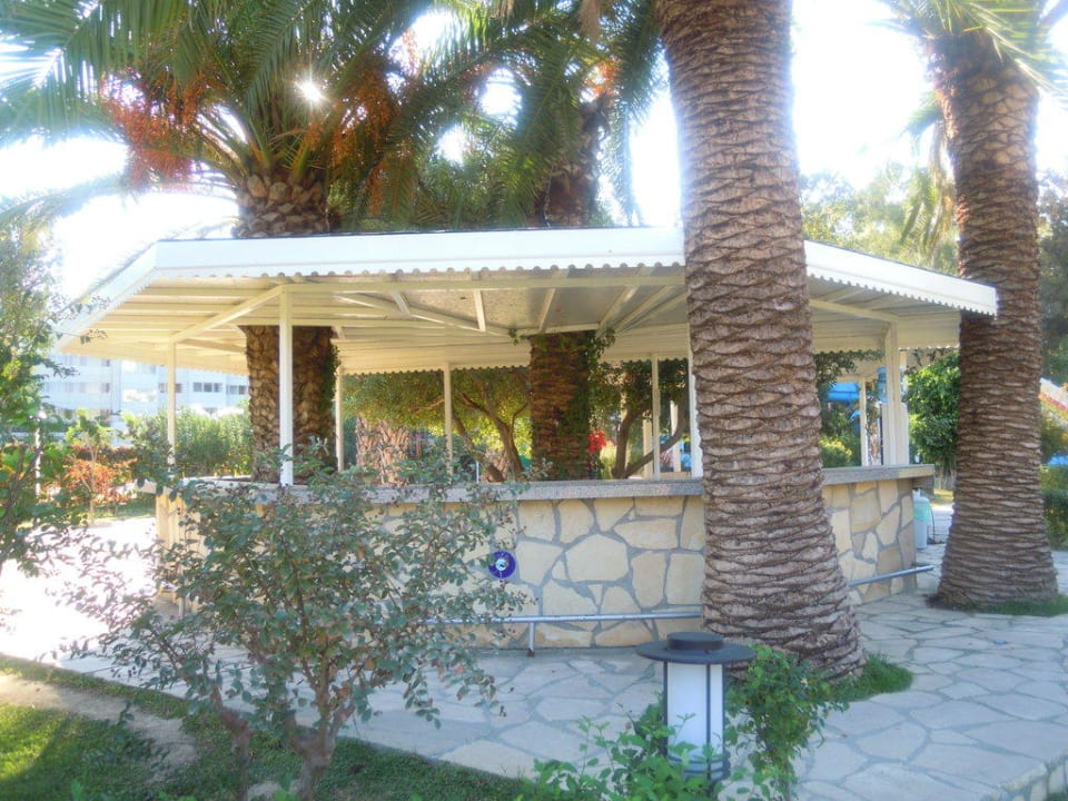 Bar Asteria Collection Side