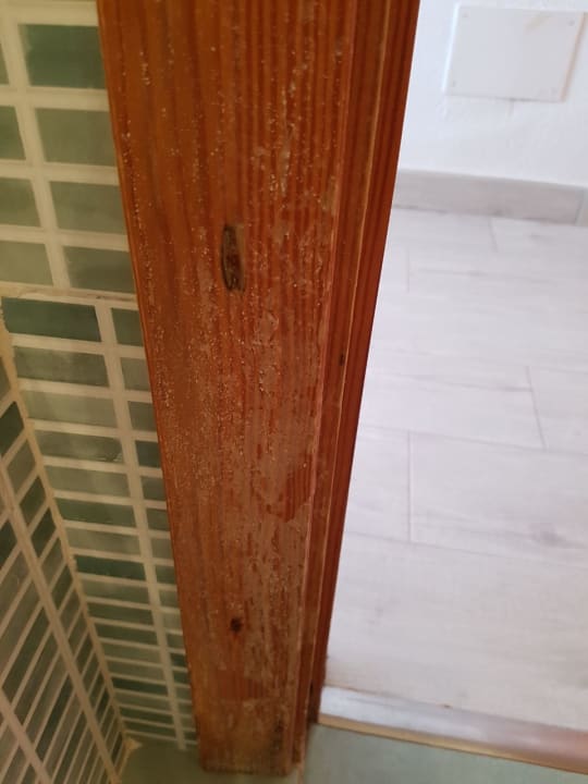 Zimmer Calimera Fido Gardens