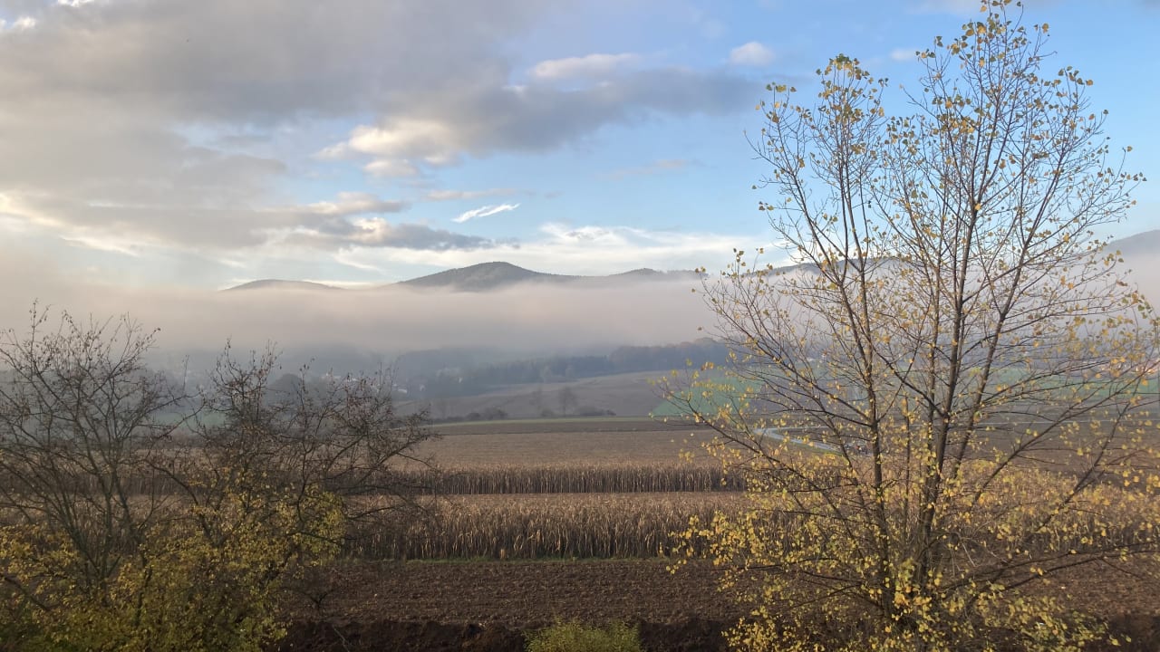 Ausblick Wilfinger Ring Bio Hotel
