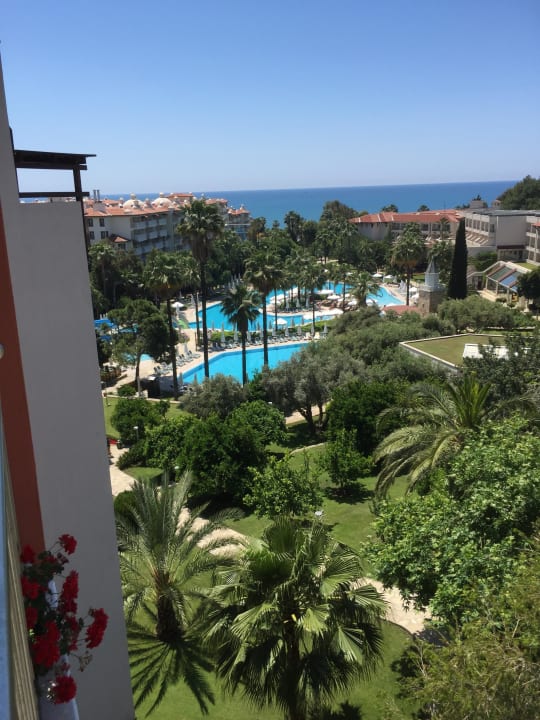 Hauptproblem Barut Hemera