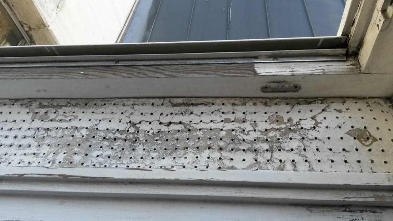 Zimmer Hotel Lippischer Hof