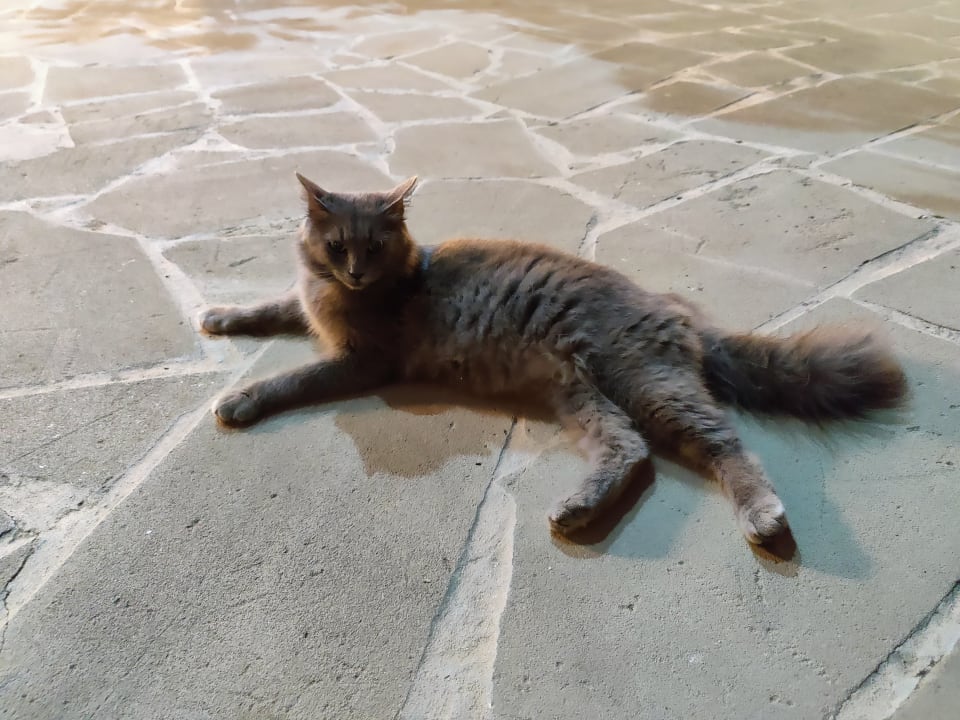 Ausblick Crystal Springs Beach Hotel