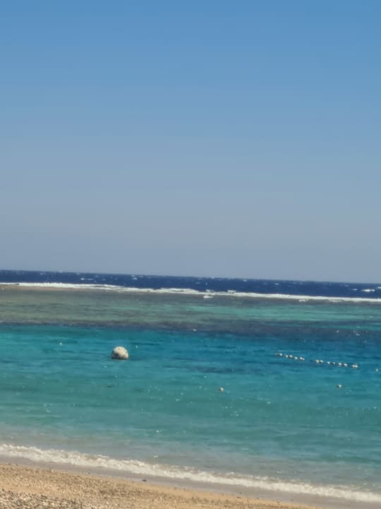 Strand Coral Sun Beach