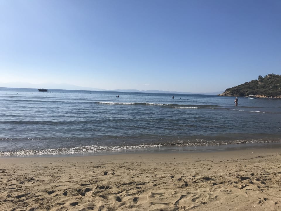 Strand Paloma Pasha
