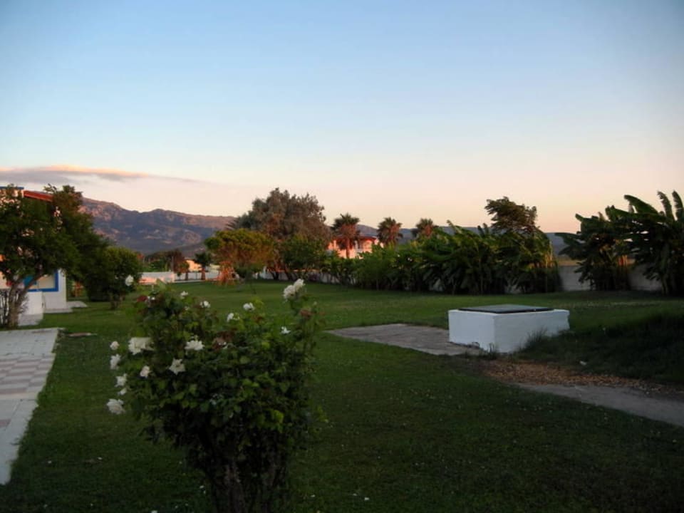 Viel Grün  Hotel Tigaki's Star