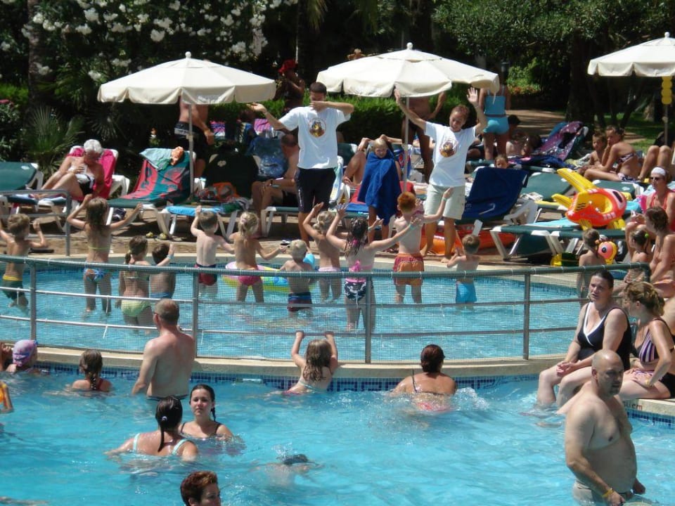 Poolanimation Protur Palmeras Playa Aparthotel