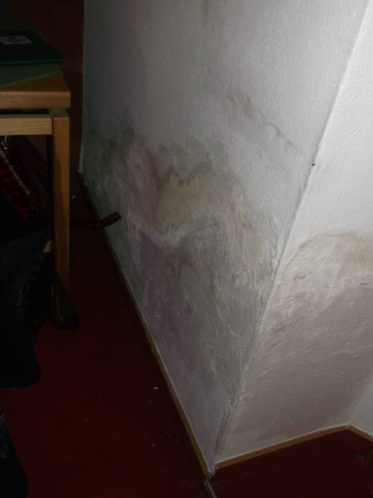 Schimmelbilder beweisen es eindeutig,  Gasthof Bergheimat