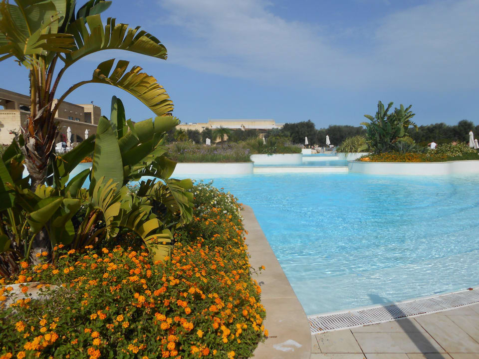 Blick auf den Pool Vivosa Apulia Resort