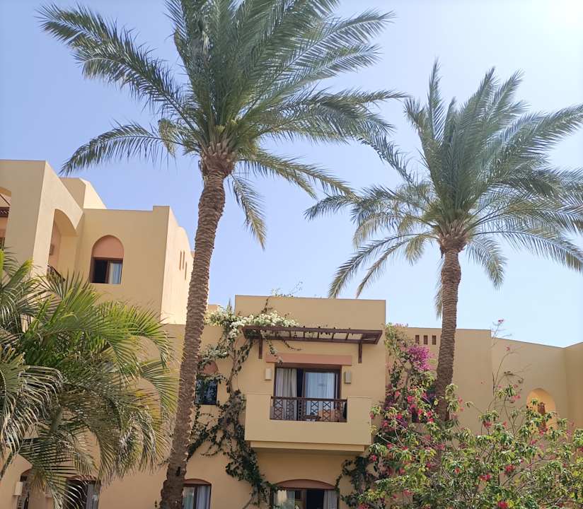 Ausblick Steigenberger Coraya Beach - Adults only