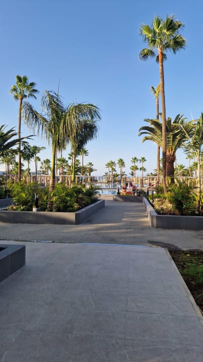 Gartenanlage Hotel Riu Gran Canaria