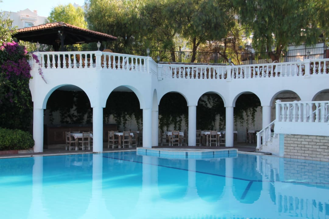 Alles schimmel am pool auflagen schimmel Hotel Altinsaray