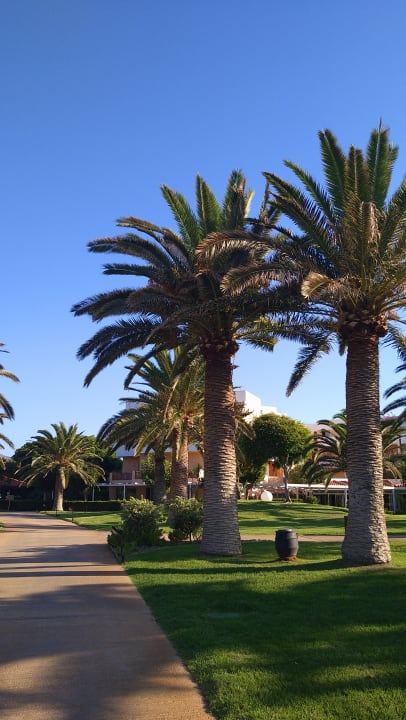 Gartenanlage Anissa Beach & Village