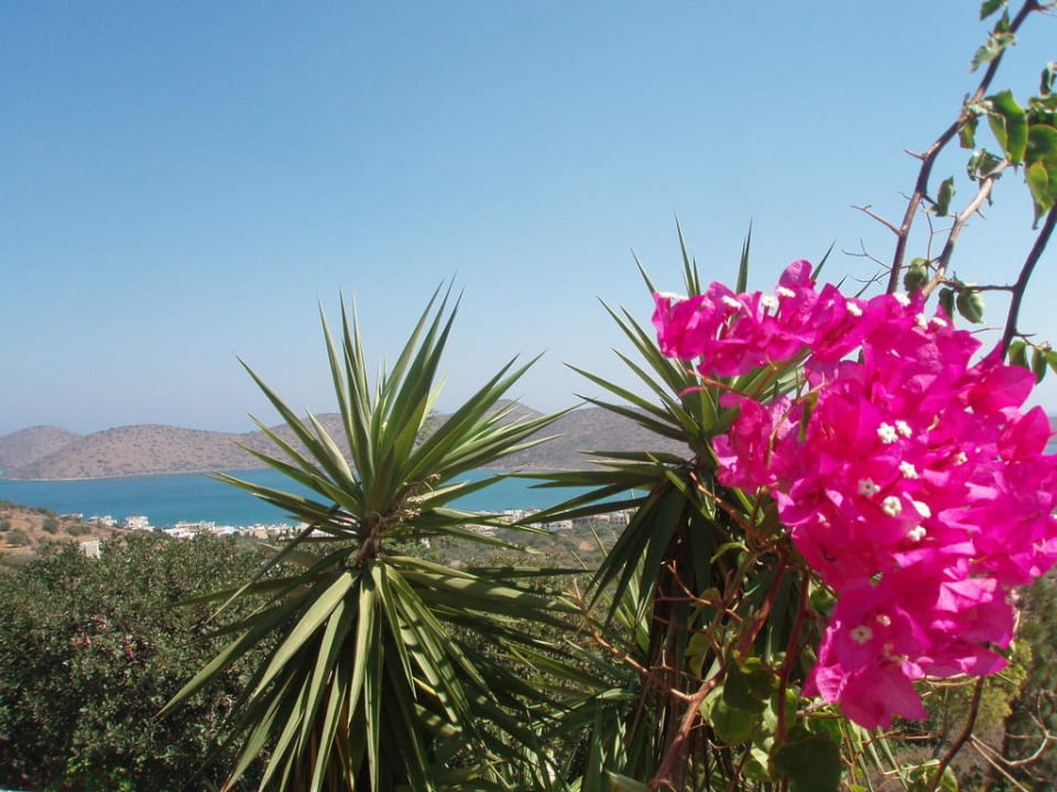 Ausblick Elounda Residence Resort & Waterpark