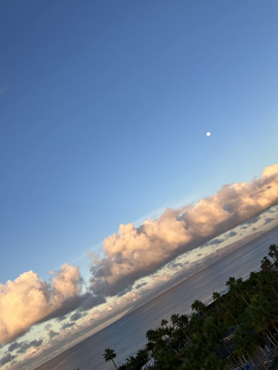 Ausblick Hotel Riu Palace Tenerife