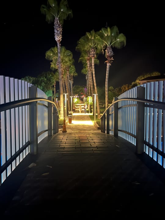 Sonstiges Arum Barut Collection