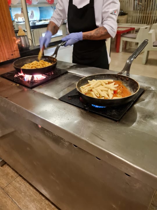 Gastro Paloma Oceana