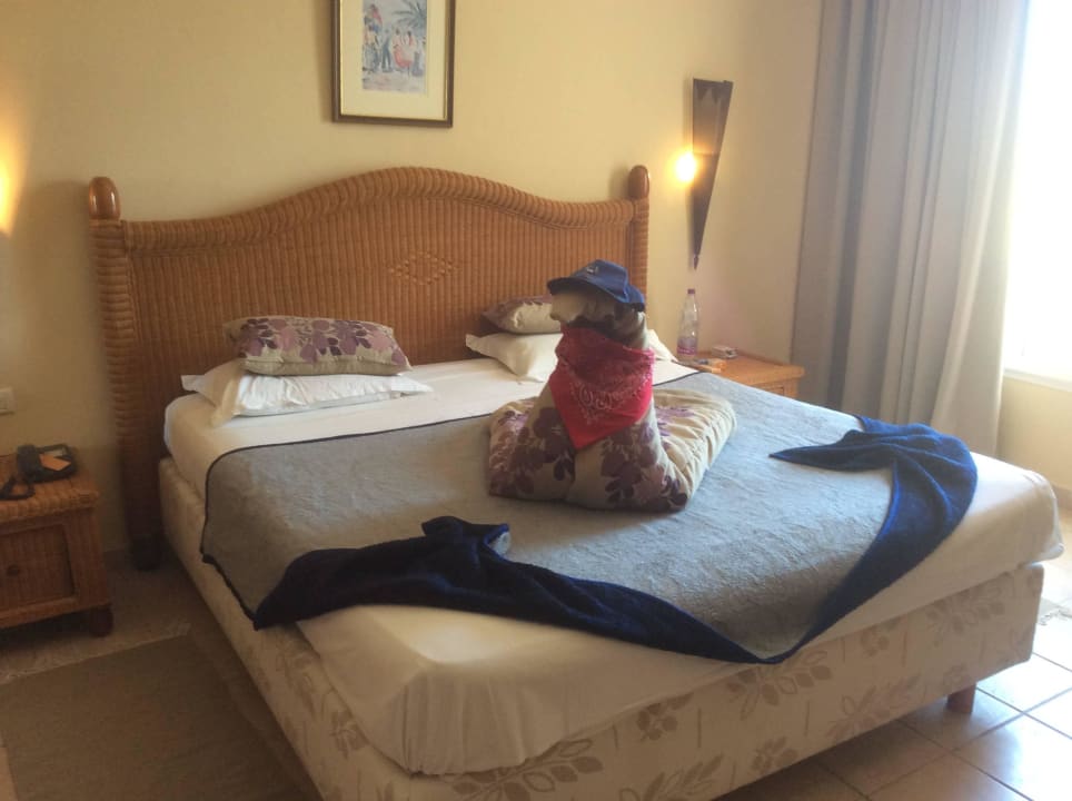 BONNE PRÉSENTATION  Hotel Djerba Resort