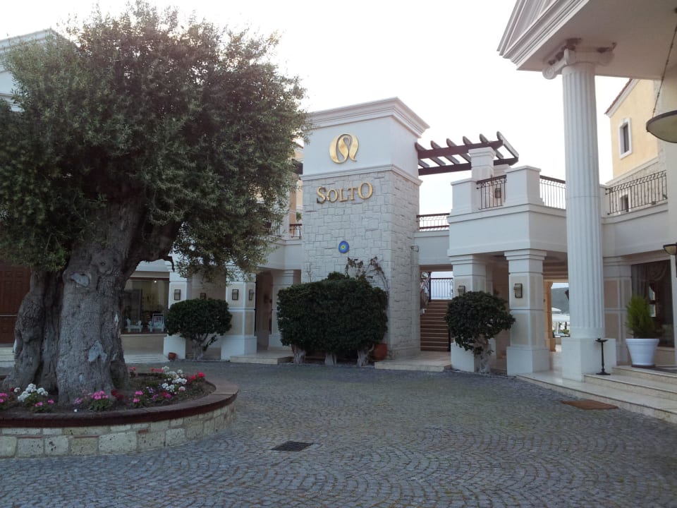 Zugang Cocos The Club Solto