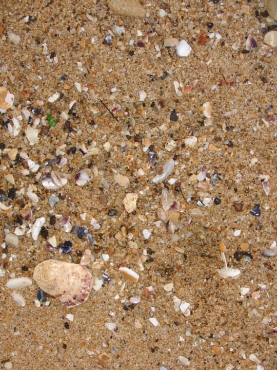 Wunderschöner Sandstrand GRIFID Vistamar