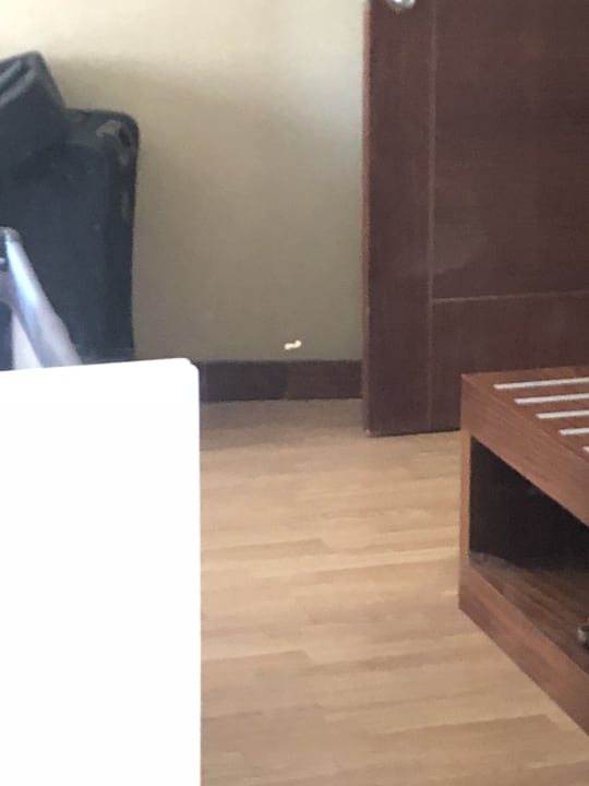 Zimmer Seaden Sea World Resort & Spa