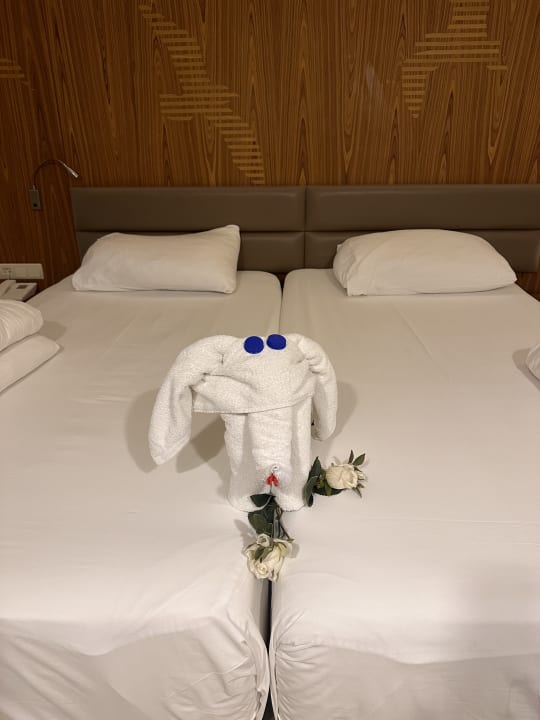 Zimmer PALOMA Perissia