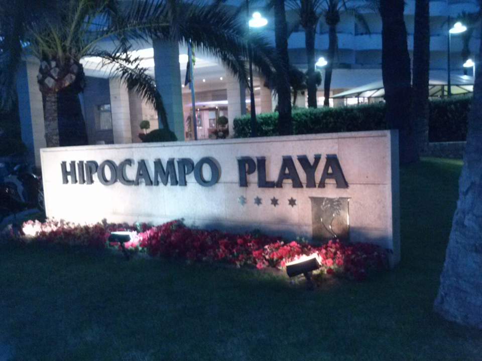 Sehr gut gefallen hat uns Hipotels Hipocampo Playa