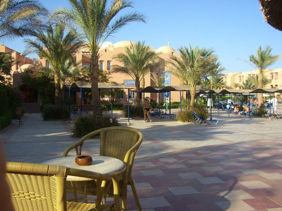 mit Blick zum Pool Jaz Makadi Oasis Resort