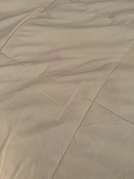 Zimmer Hotel Kempinski Soma Bay