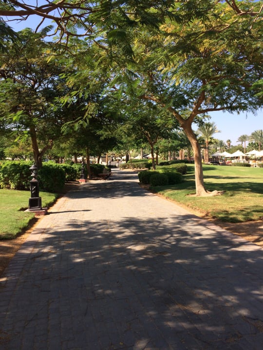 Gartenanlage Steigenberger ALDAU Beach Hotel