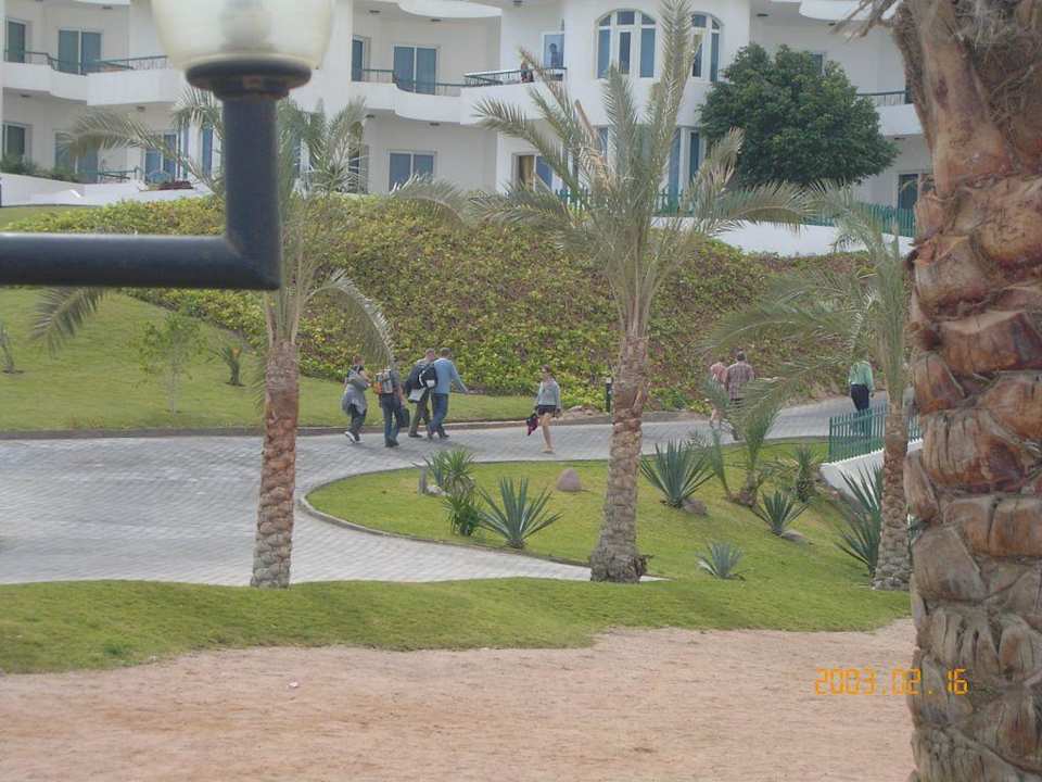 Ogród Sultan Gardens Resort