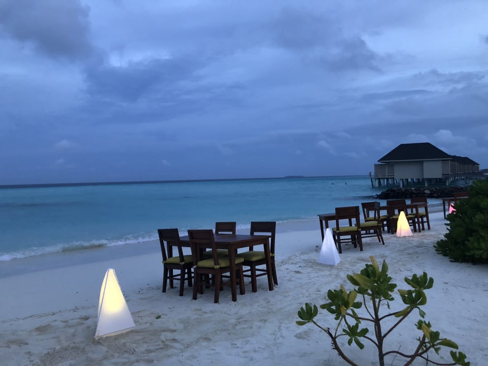 Gastro Summer Island Maldives