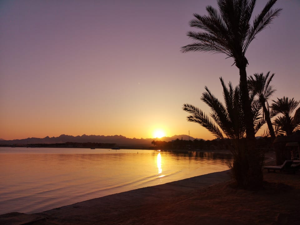 Strand Palm Royale Resort - Soma Bay