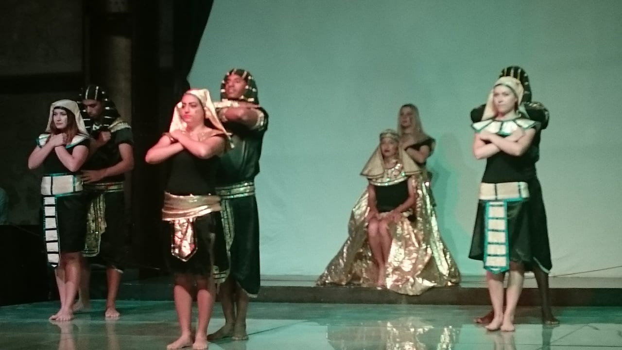 Sport & Freizeit Pickalbatros Citadel Resort