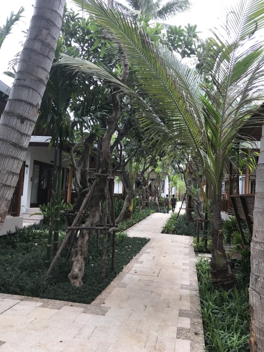 Gartenanlage Banana Fan Sea Resort