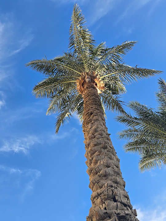 Außenansicht Pickalbatros Dana Beach Resort - Hurghada