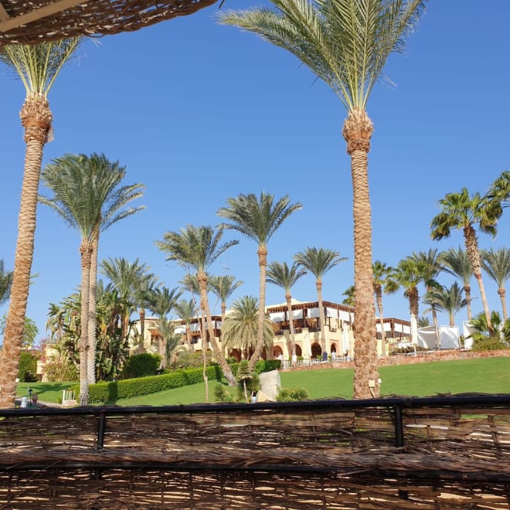 Gartenanlage Steigenberger Coraya Beach - Adults only