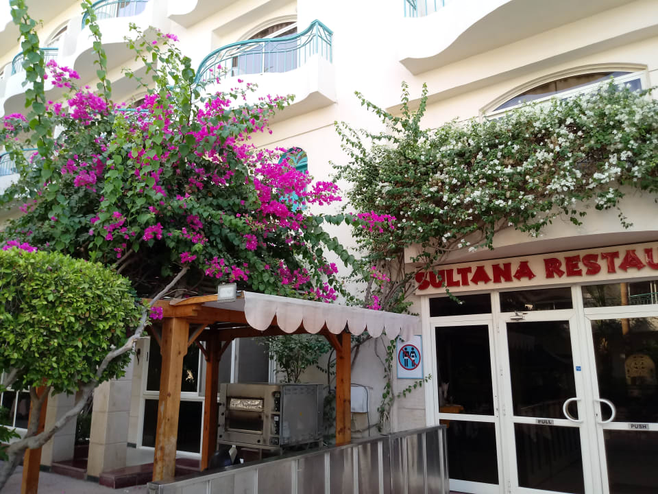 Gartenanlage Bella Vista Resort Hurghada