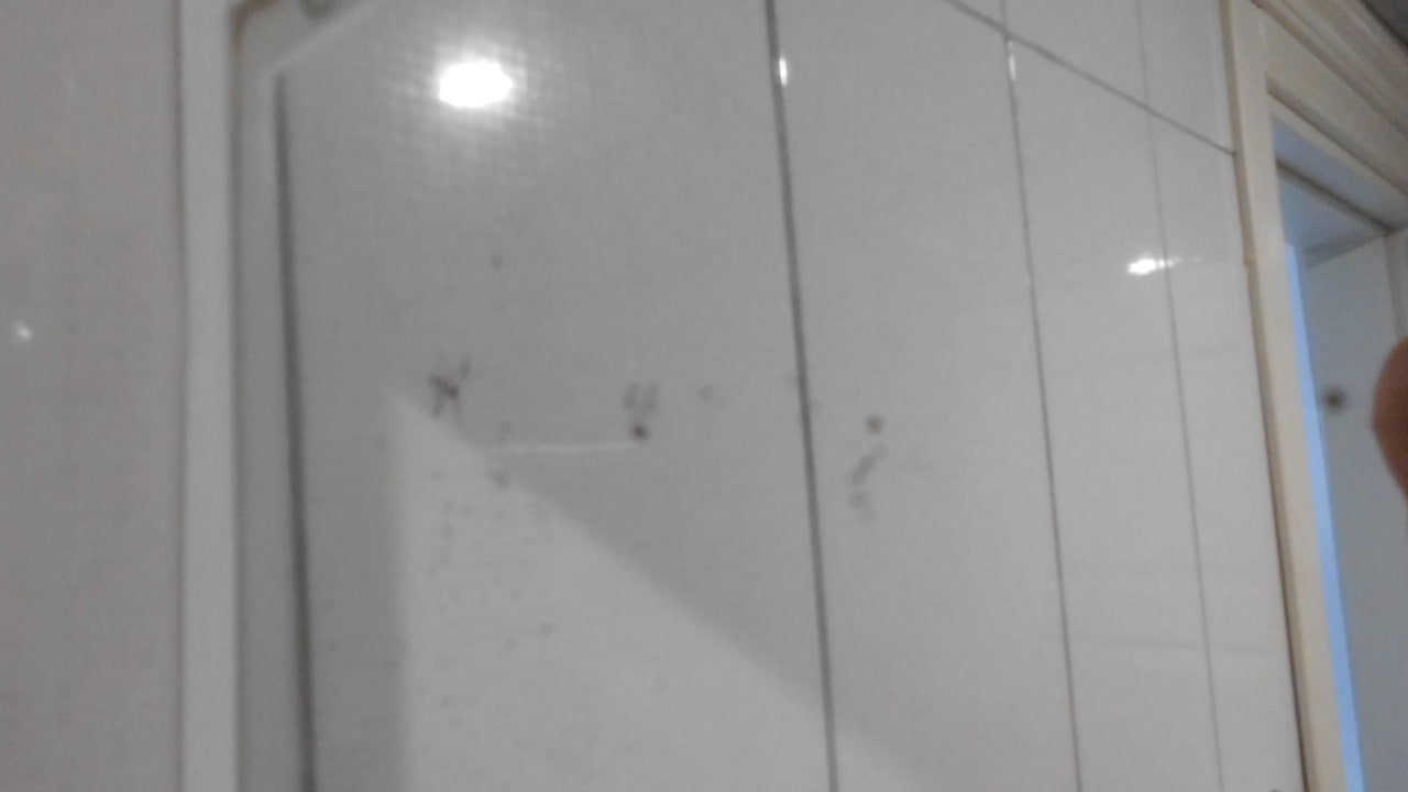 Zimmer Orient Apartments