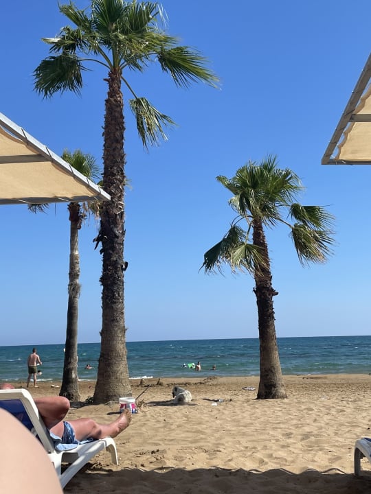 Strand Hotel Süral Resort