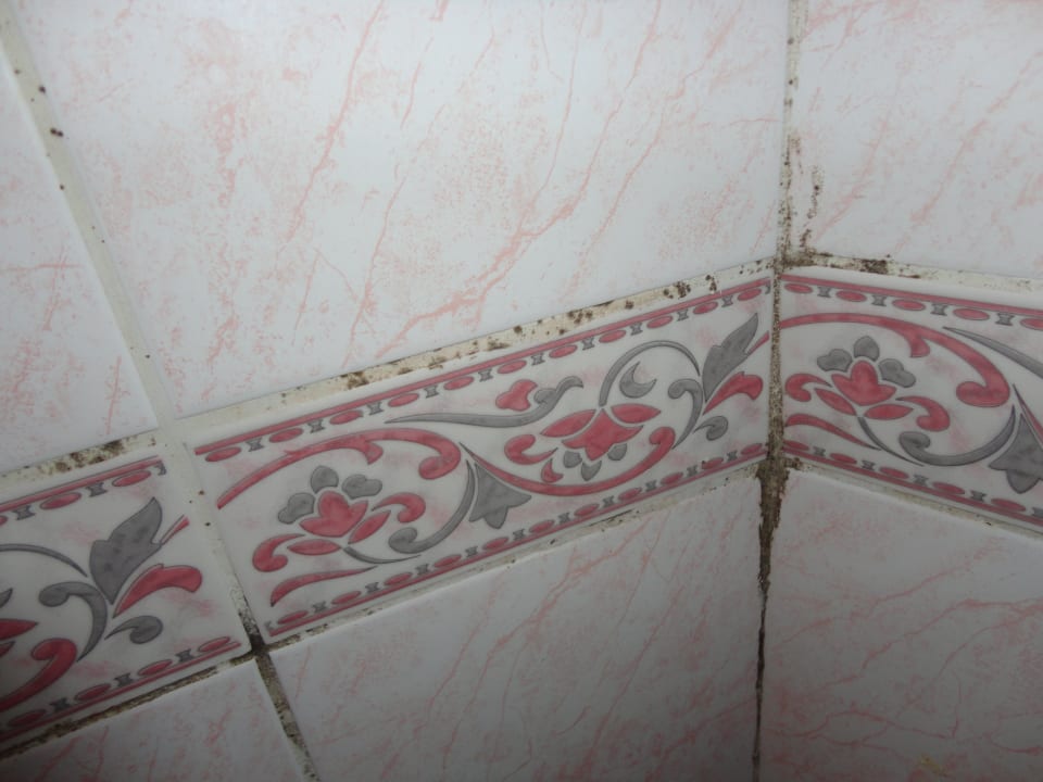 Грибок на стенах в душе Hotel Sea Time Club