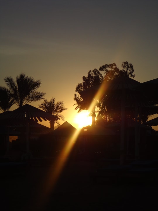 Strand Sonnenuntergang Ghazala Gardens