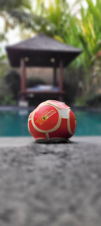 Pool Arya Villas Ubud