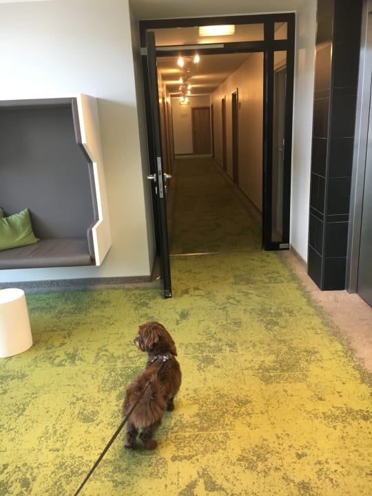 Sonstiges Strandgut Resort