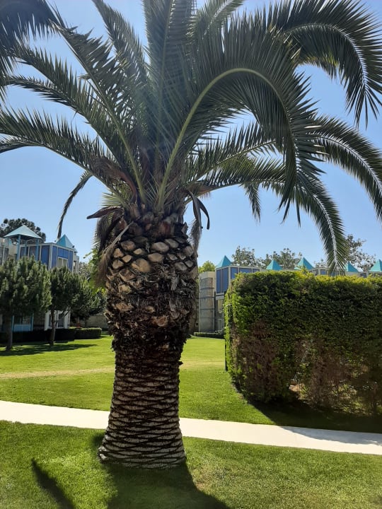 Gartenanlage ROBINSON PAMFILYA