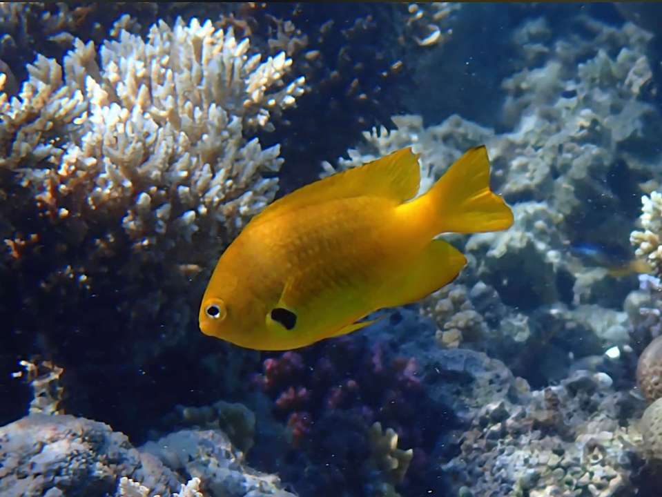 Sport & Freizeit Serry Beach Resort