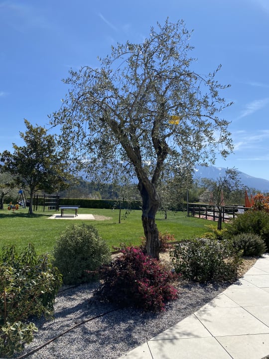 Ausblick Hotel Residence La Pertica